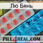 Лю Бянь new14